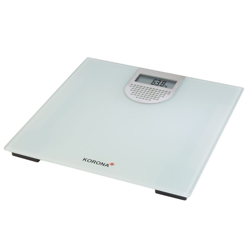 Electronic speaking glass scale